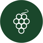 Uva da tavola